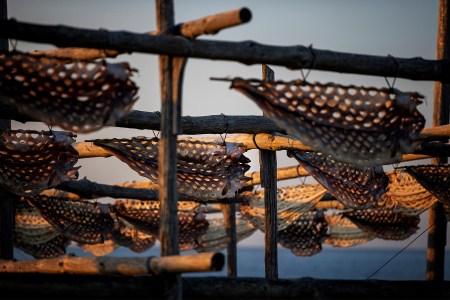 Proteger los secaderos de congrio de Muxía, monumentos de la cultura del mar