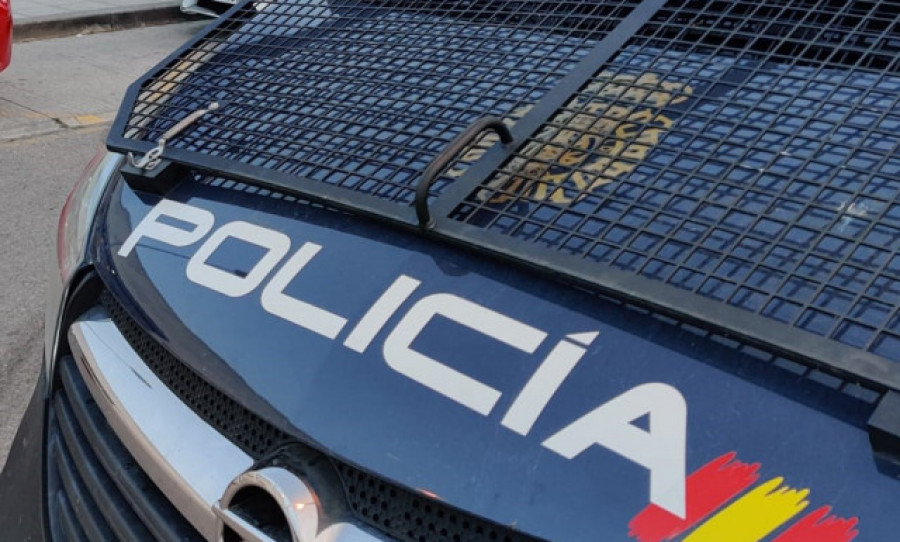 Detenido un hombre que robó el perro de una cliente en el párking de un supermercado de Madrid