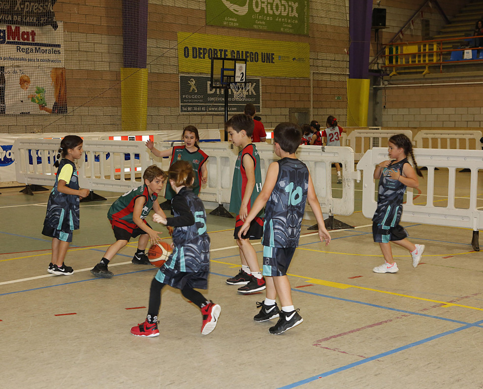 Pequebasket