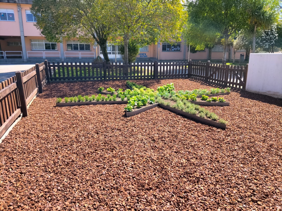 Una rosa de los vientos de plantas aromáticas en el colegio de Sofán