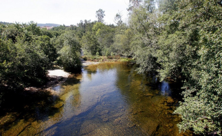 Investigado por arrojar dos perros atados a una piedra en el río Tea, en Covelo