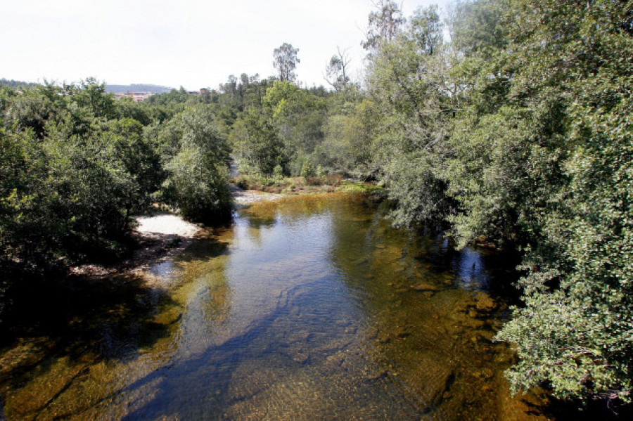 Investigado por arrojar dos perros atados a una piedra en el río Tea, en Covelo