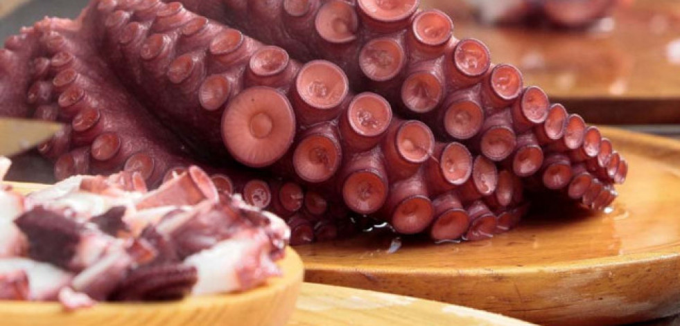 ¿Estás preparado para la vuelta de las fiestas gastronómicas?