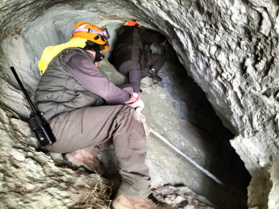 ​Localizan con vida a la osa atacada por un macho en la Montaña Palentina