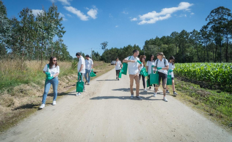 Voluntarios de Greenalia limpian el entorno del parque eólico vimiancés de Miñón