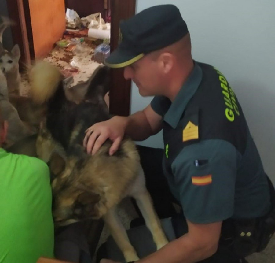 Detenidas dos personas como presuntos autores de un delito de maltrato animal en Cedeira