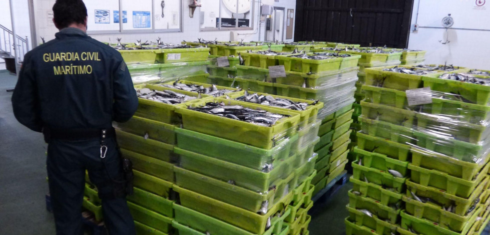 La Guardia Civil decomisa más de 5 toneladas de sardina por pesca ilegal en Laxe