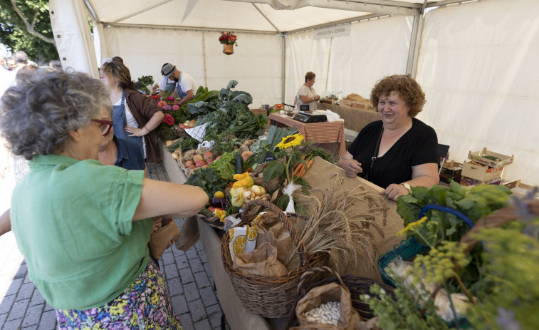 Exitosa quinta edición de la Feira de Horticultura en Paiosaco