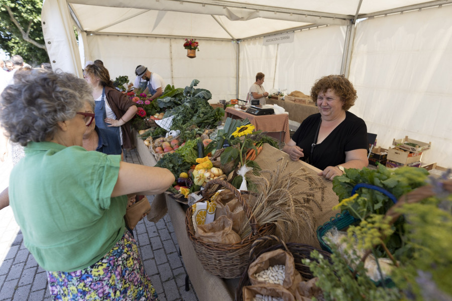 Exitosa quinta edición de la Feira de Horticultura en Paiosaco