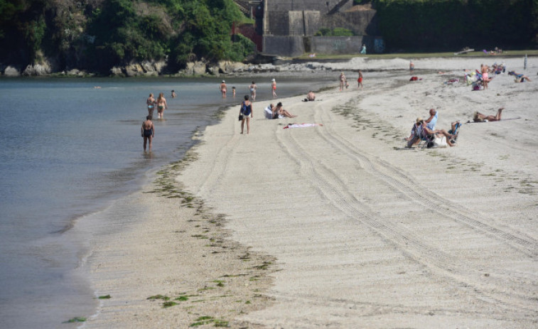 Alertan de la presencia de ejemplares de carabelas portuguesas en playas de Ferrol y Barreiros