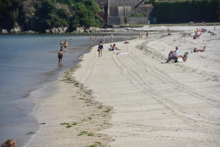 Alertan de la presencia de ejemplares de carabelas portuguesas en playas de Ferrol y Barreiros