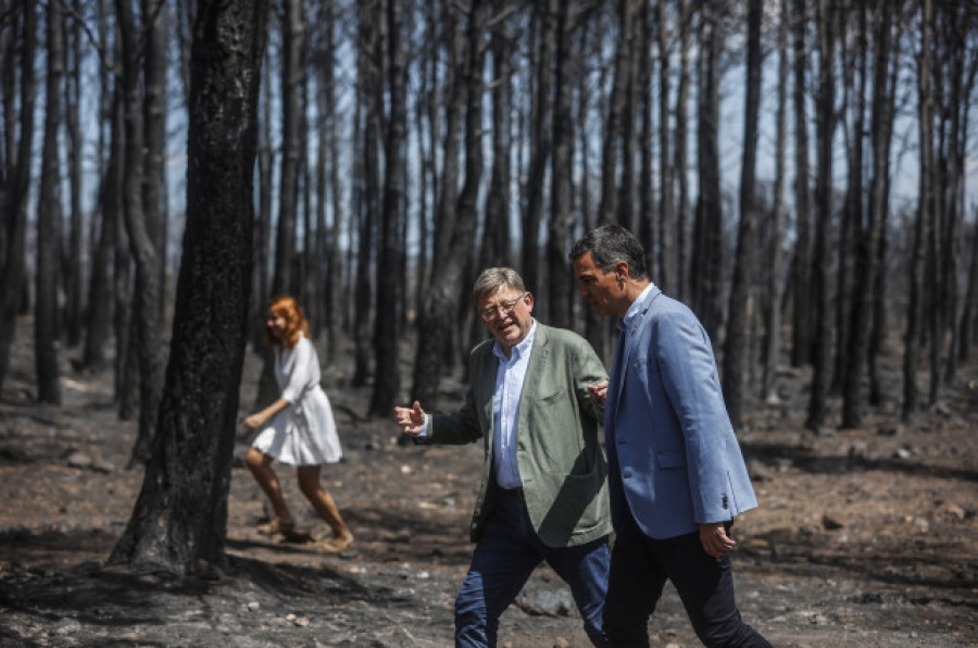 El Gobierno declarará como catastróficas las zonas de los grandes incendios