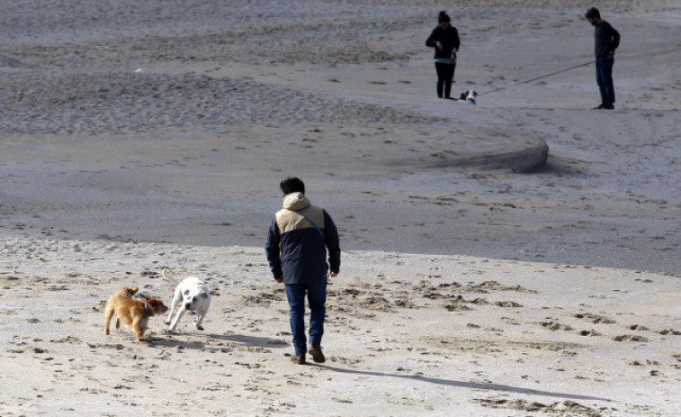 Las familias con perros lo tienen difícil en las casi 900 playas gallegas