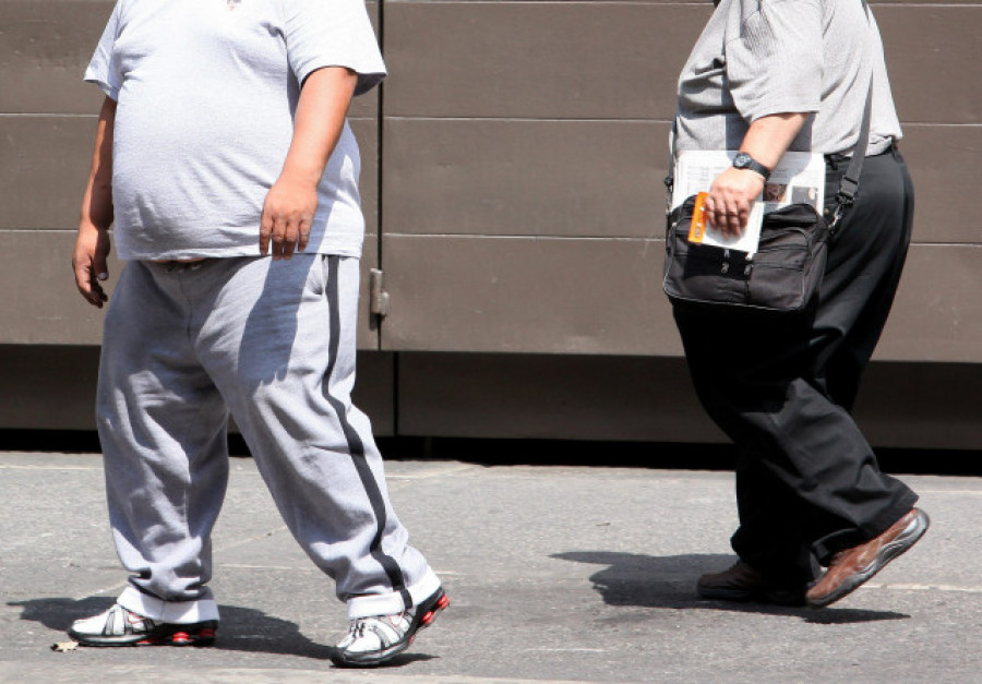 Investigadores identifican una línea de probióticos para tratar la obesidad y la diabetes de tipo dos