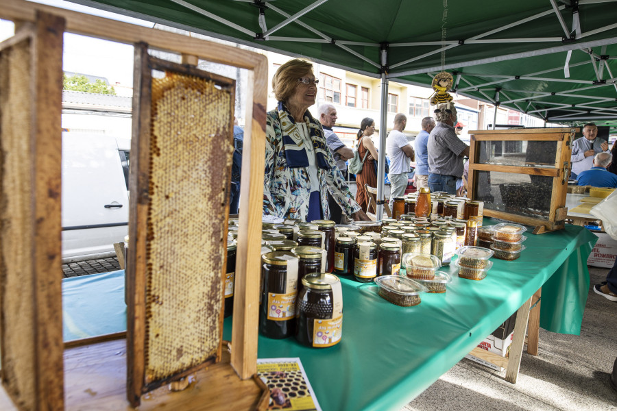 La jornada sobre la miel realza la feria de Carballo