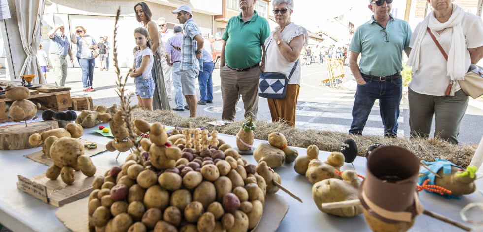 Festa da Pataca en Coristanco