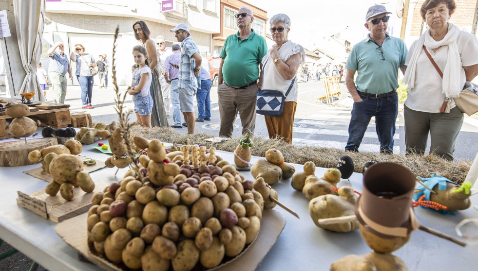 Festa da Pataca en Coristanco (90)
