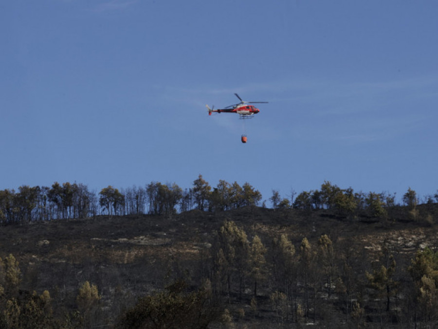 Los montes y la gestión forestal