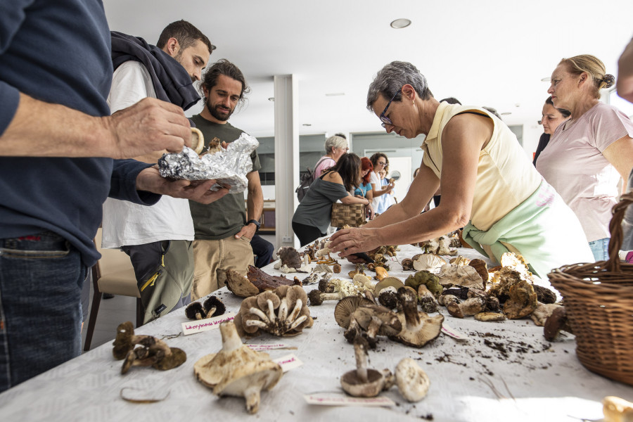 La pasión por las setas anima la temporada otoñal en la Costa da Morte