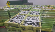 Incautadas más de cinco toneladas de sardinas en Camariñas