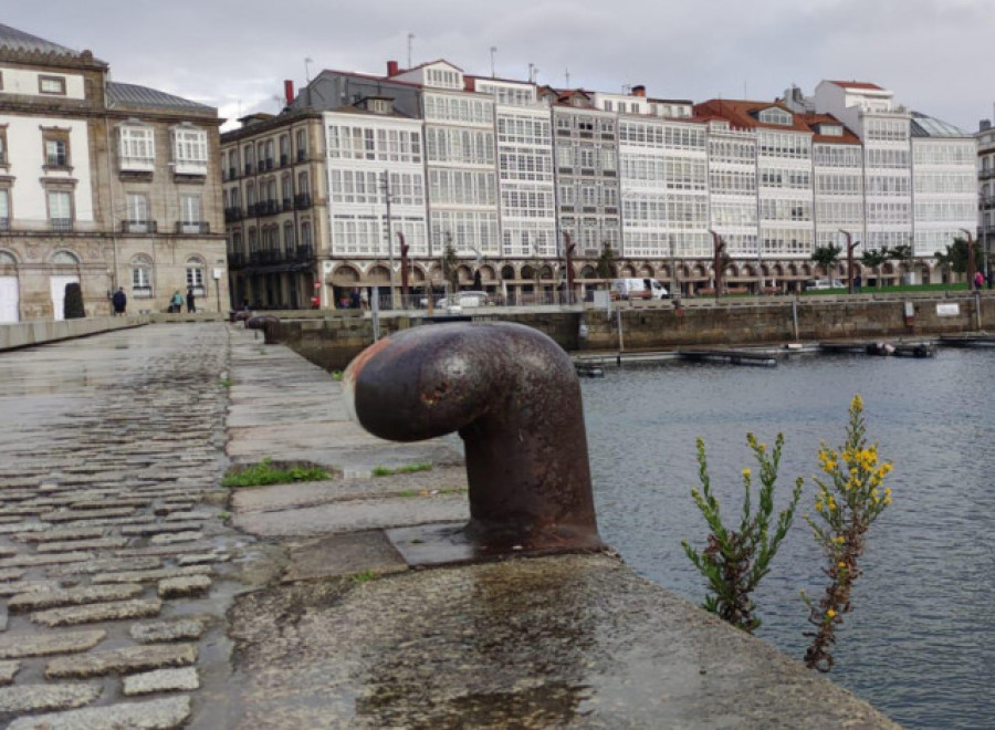 Por el paseo de La Marina y el Parrote hay noráis en flor
