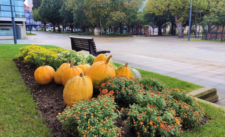 Las calabazas decoran los jardines otoñales de Carballo