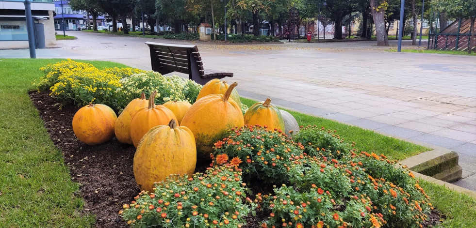 Las calabazas decoran los jardines otoñales de Carballo