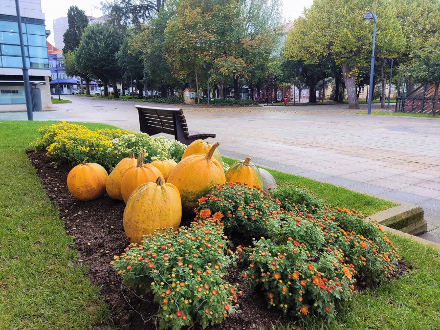 Las calabazas decoran los jardines otoñales de Carballo