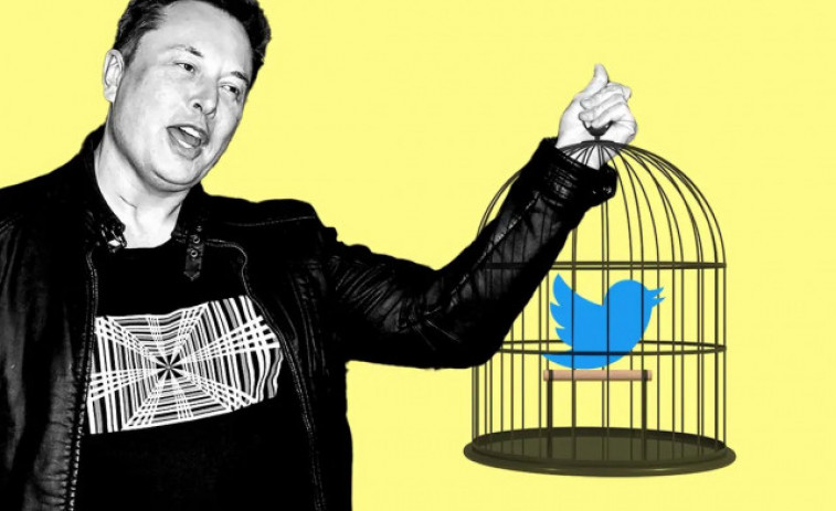 Elon Musk, dueño de Twitter, no se libra de los memes en su propia red