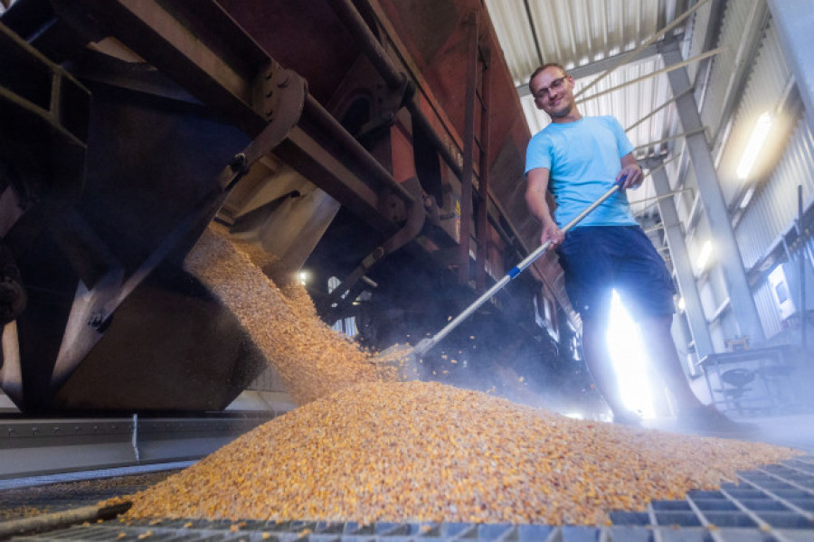 Rusia reactiva el pacto para exportar cereales de Ucrania tras recibir garantías