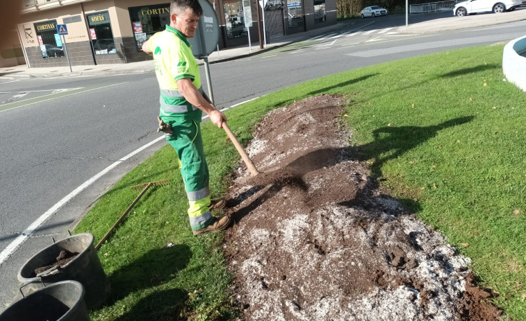 Los residuos del colector marrón regresan a Carballo en forma de compost para los jardines