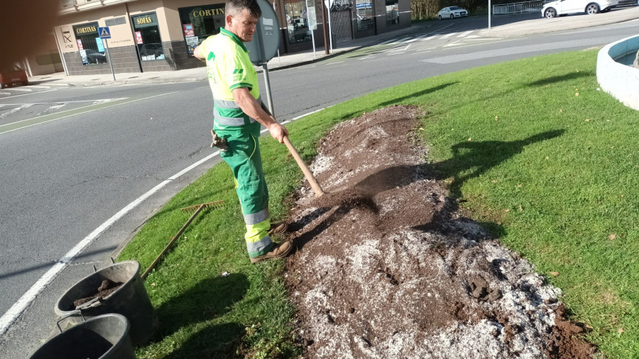 Los residuos del colector marrón regresan a Carballo en forma de compost para los jardines