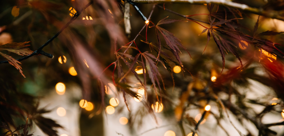 La actitud de diciembre: la gratitud
