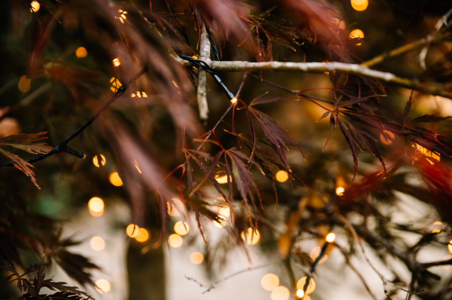 La actitud de diciembre: la gratitud