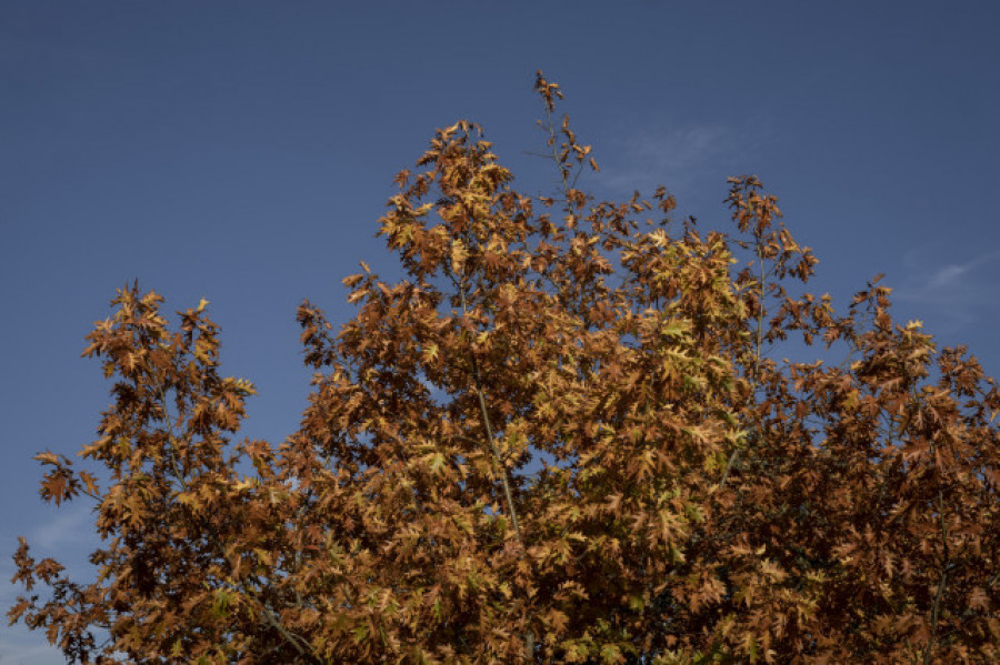 Galicia registró un otoño con 16 grados de temperatura media