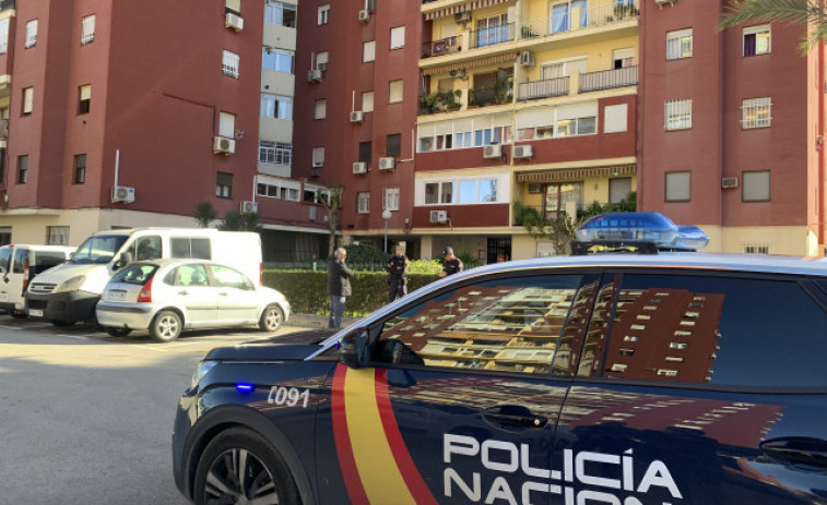 Detienen a un joven por agredir a su madre en una vivienda de O Pindo