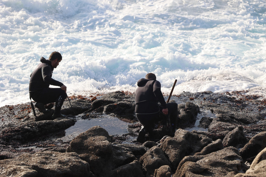 Los percebeiros de Corme y Muxía crearán una asociación profesional en Galicia