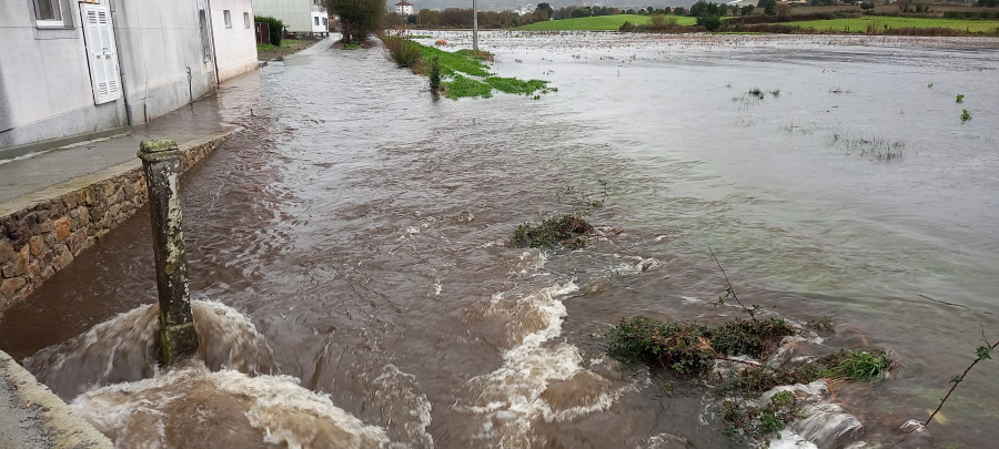 El temporal desborda cauces y provoca caída de árboles y alumbrados navideños