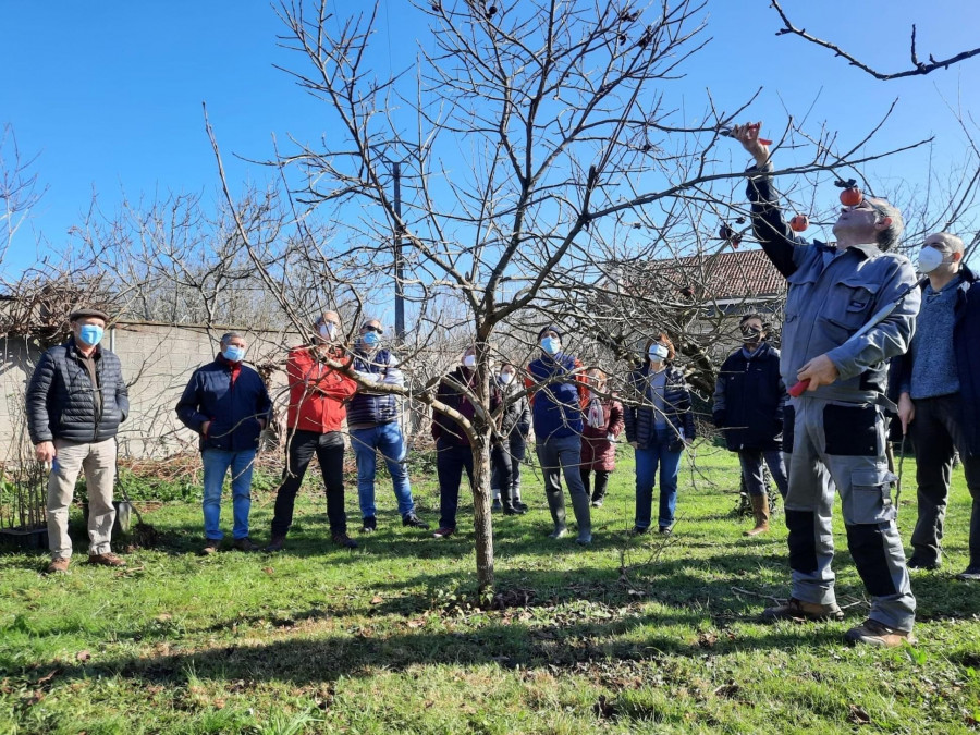 Carballo y Dixardín organizan cuatro cursos de poda