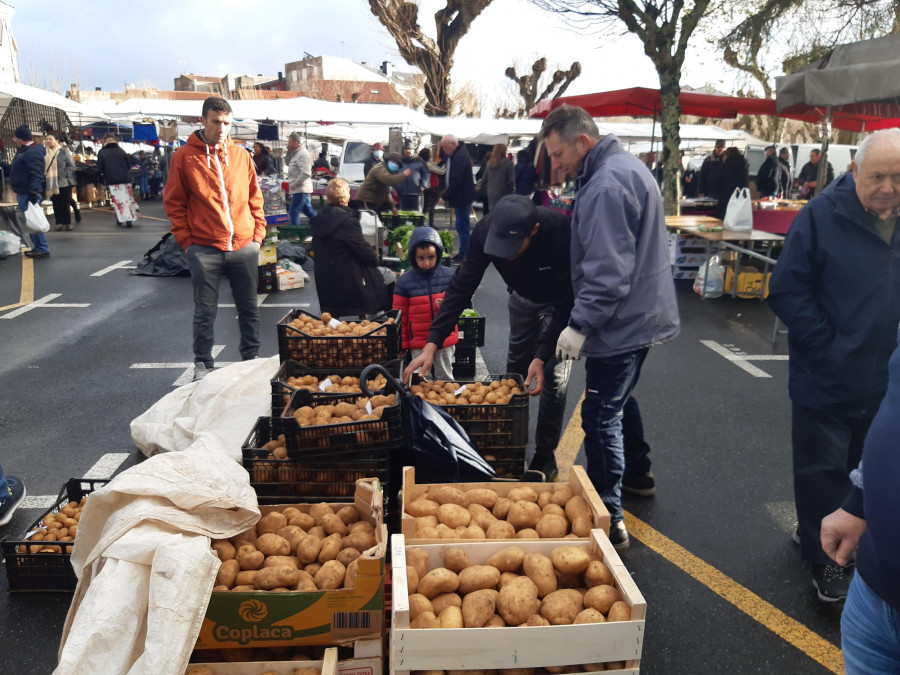 Las patatas de Coristanco y los quesos de Lestón, productos destacados en Paiosaco