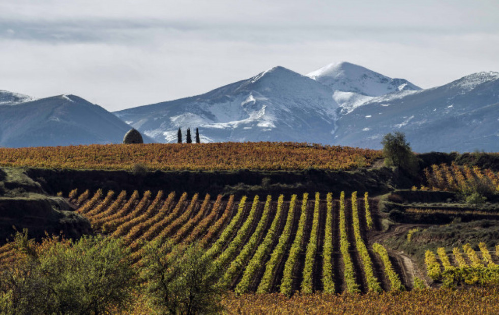 Rioja acogerá los premios World’s Best Vineyards 2023