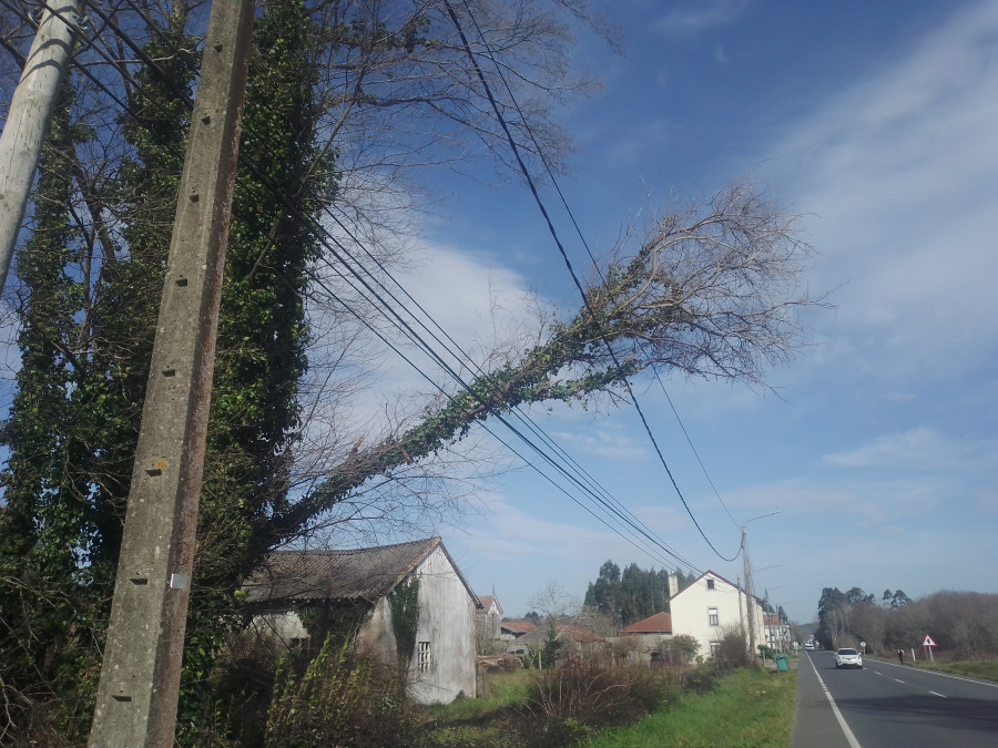 Xuntos Carballo pide que se retire un árbol caído sobre un tendido en la recta de Rus