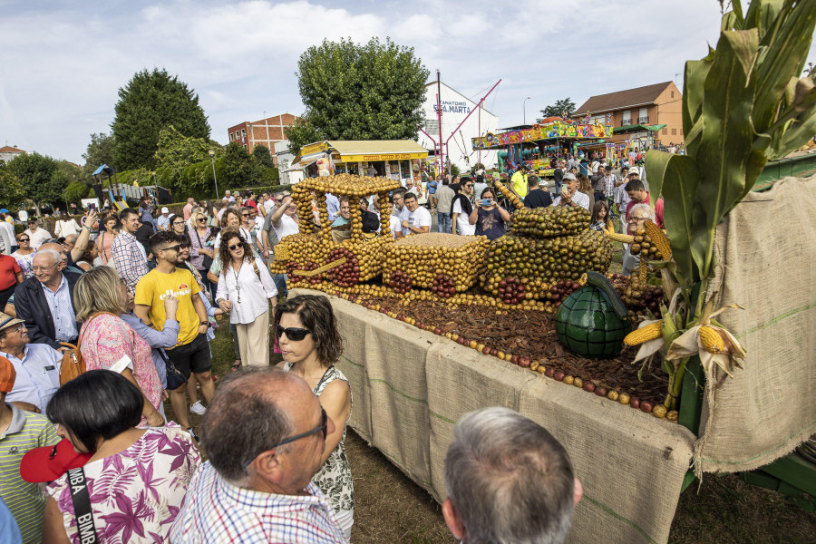 La Diputación ayuda con 12.000 euros la Festa da Pataca