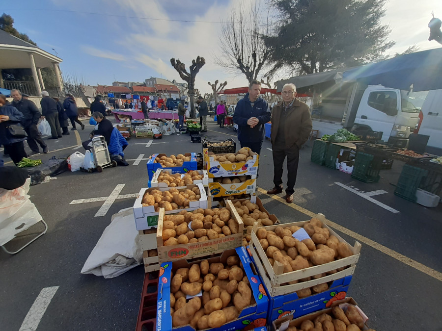 El precio del manojo de grelos se dispara hasta los 5 euros en las ferias de la zona