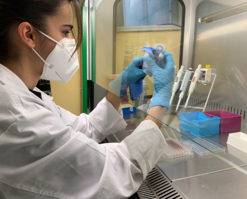 Investigacion