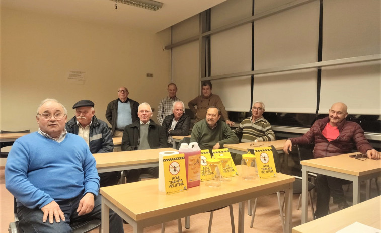 El Concello y los apicultores se alían un año más para acabar con la velutina en Carballo