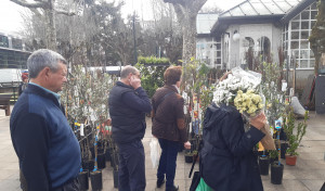 Menos ambiente en los mercados de Carballo y Cee