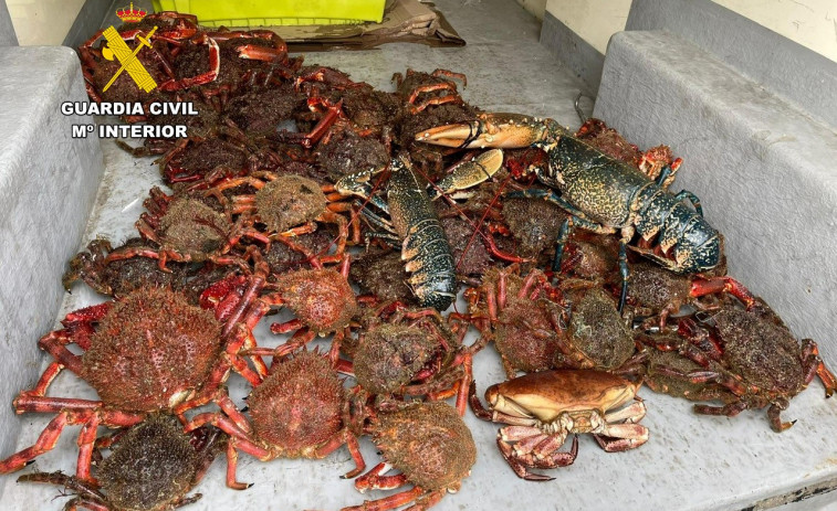 La Guardia Civil decomisa más de 100 kilos de marisco en Carballo