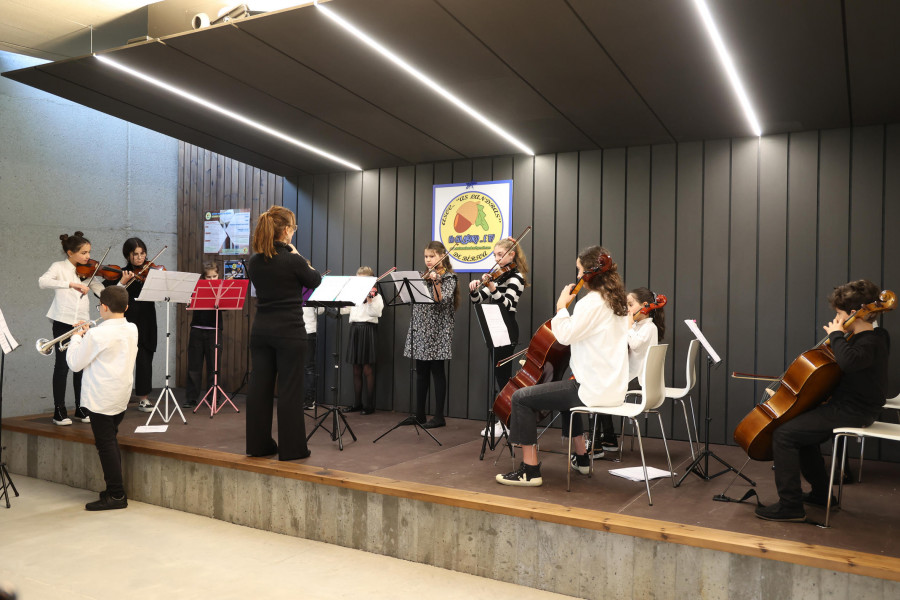 Concierto de la Orquesta de Cuerda del Conservatorio en Bértoa