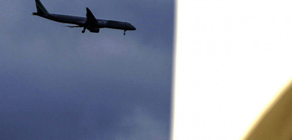 Un cangrejo impide el aterrizaje de un avión en Brasil